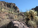photo thumbnail #5