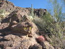 photo thumbnail #6