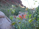 photo thumbnail #14