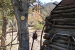 photo thumbnail #12