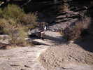photo thumbnail #7