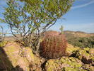 photo thumbnail #2