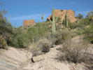 photo thumbnail #5
