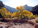 photo thumbnail #12