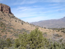 photo thumbnail #6