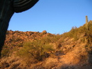 photo thumbnail #2