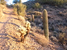 photo thumbnail #4