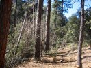 photo thumbnail #8