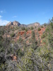 photo thumbnail #10