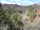 photo thumbnail #11