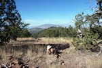 photo thumbnail #11