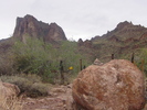 photo thumbnail #1