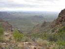 photo thumbnail #3