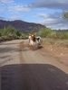 photo thumbnail #15