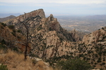 photo thumbnail #7