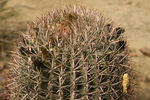 photo thumbnail #4