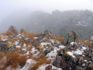 photo thumbnail #7