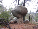 photo thumbnail #10
