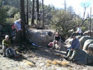photo thumbnail #11