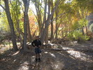 photo thumbnail #5