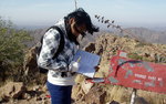 photo thumbnail #9