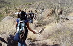 photo thumbnail #12