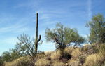 photo thumbnail #14