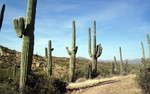 photo thumbnail #15