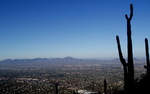 photo thumbnail #14