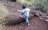 photo thumbnail #3