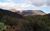 photo thumbnail #7
