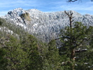 photo thumbnail #5
