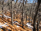photo thumbnail #14