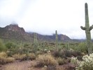 photo thumbnail #7