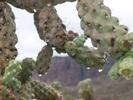 photo thumbnail #8