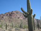 photo thumbnail #1