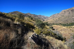 photo thumbnail #3