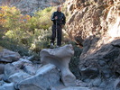 photo thumbnail #7