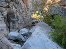 photo thumbnail #9