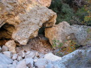 photo thumbnail #12
