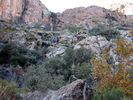 photo thumbnail #14