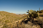 photo thumbnail #4