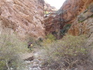 photo thumbnail #12