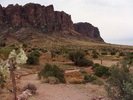 photo thumbnail #9
