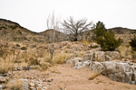 photo thumbnail #4