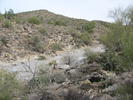 photo thumbnail #1