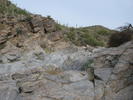 photo thumbnail #14