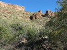 photo thumbnail #3