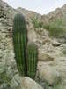 photo thumbnail #3