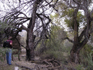photo thumbnail #8